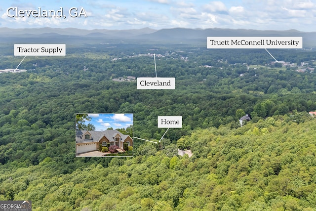 894 Oak Pointe Dr, Cleveland, GA 30528 - view of subject property featuring a forest, property boundaries highlighted, and a mountainous background