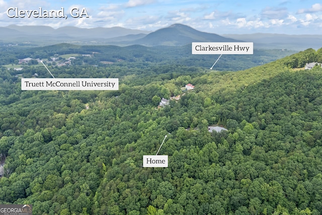 894 Oak Pointe Dr, Cleveland, GA 30528 - drone / aerial view of a forest and a mountain backdrop
