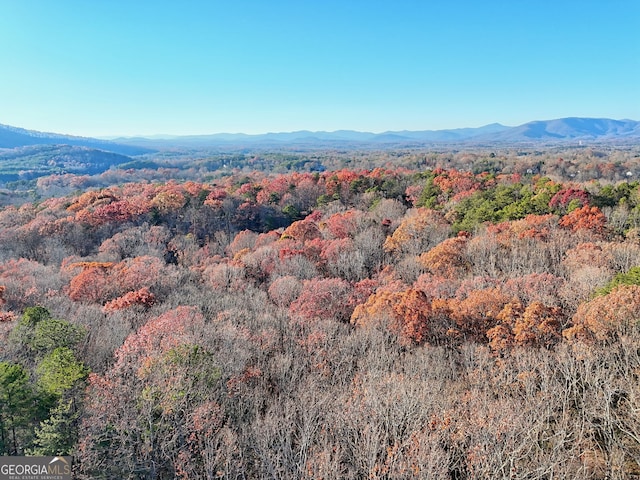 894 Oak Pointe Dr, Cleveland, GA 30528 - view of mountain background featuring a forest