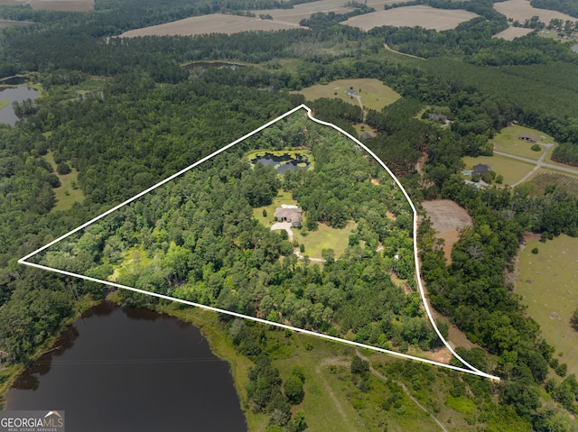 353 Indigo Hills Rd, Pembroke, GA 31321 - aerial view of property's location featuring property boundaries highlighted, a large body of water, and a heavily wooded area