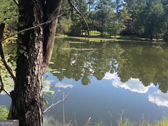 353 Indigo Hills Rd, Pembroke, GA 31321 - water view