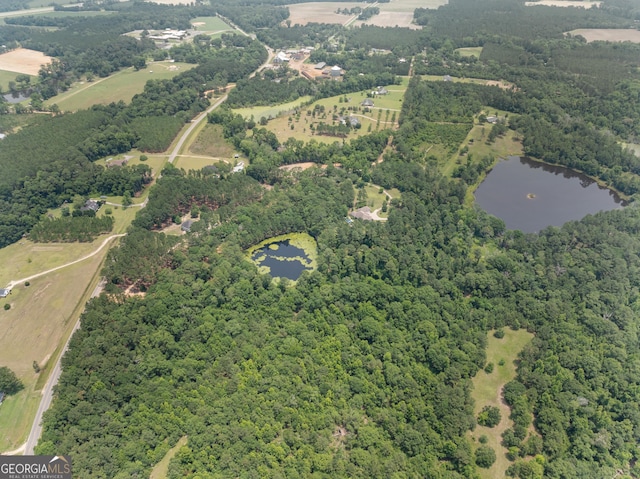 353 Indigo Hills Rd, Pembroke, GA 31321 - aerial overview of property's location with a nearby body of water and a heavily wooded area