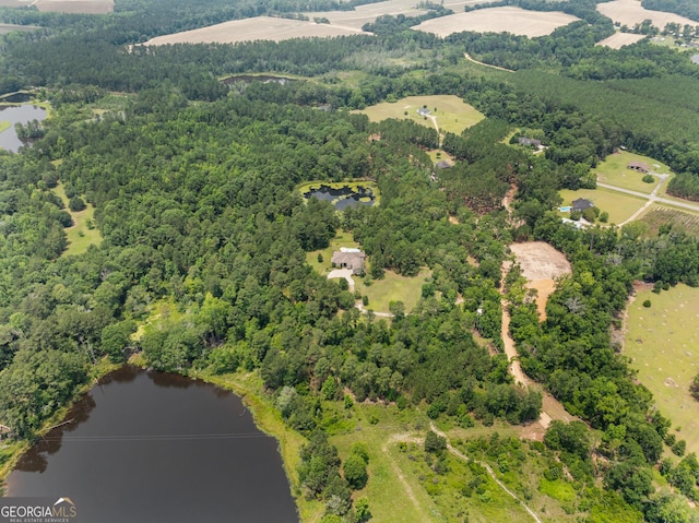 353 Indigo Hills Rd, Pembroke, GA 31321 - aerial overview of property's location featuring a large body of water and a forest