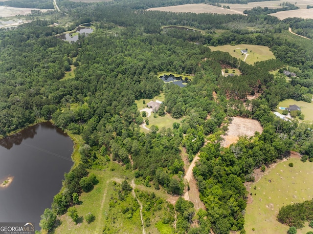 353 Indigo Hills Rd, Pembroke, GA 31321 - drone / aerial view of a nearby body of water and a heavily wooded area