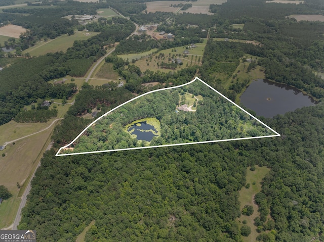 353 Indigo Hills Rd, Pembroke, GA 31321 - aerial view of property and surrounding area featuring a large body of water, a forest, and property parcel outlined