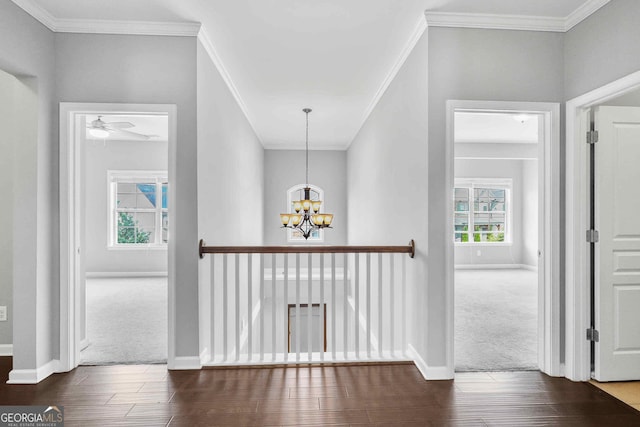 2029 Havenhurst Way, Auburn, GA 30011 - hallway featuring dark wood-style floors, plenty of natural light, a chandelier, crown molding, and baseboards