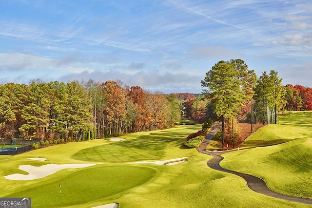 11785 Mountain Laurel Dr, Roswell, GA 30075 - view of property's community with golf course view