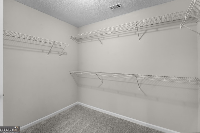 229 Wellspring Ter, Allenhurst, GA 31301 - walk in closet with carpet floors