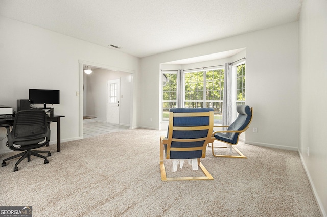 40 Briarwood Ln, Newnan, GA 30265 - office space featuring carpet, plenty of natural light, and baseboards