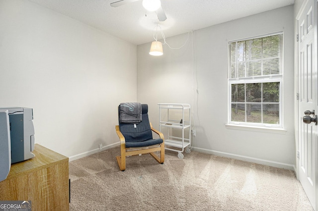 40 Briarwood Ln, Newnan, GA 30265 - living area featuring ceiling fan, carpet, plenty of natural light, and baseboards