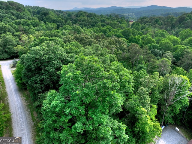 0 Winding Creek Rd, Blue Ridge, GA 30513