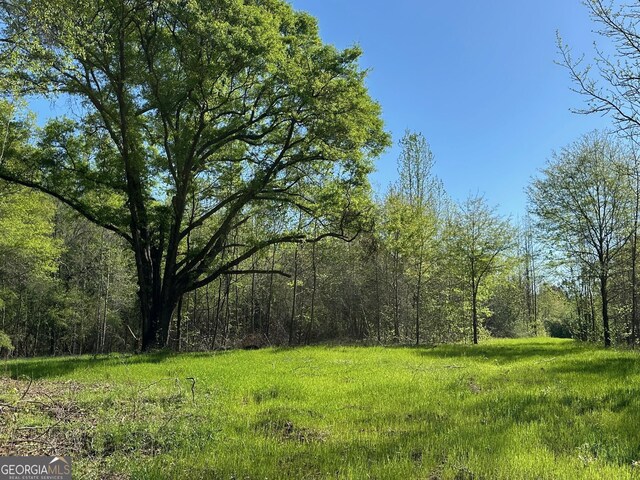 0 W Rd, Concord, GA 30206