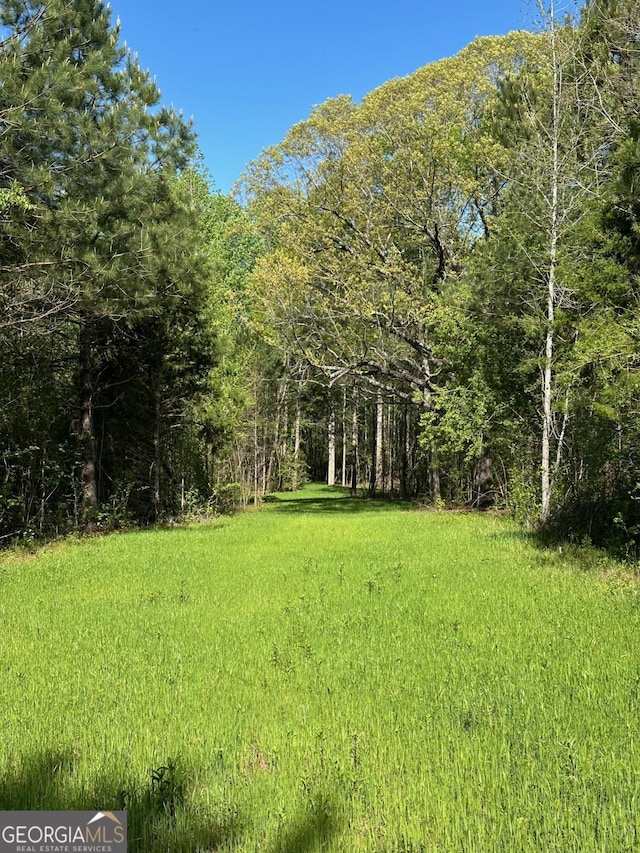 0 W Rd, Concord, GA 30206