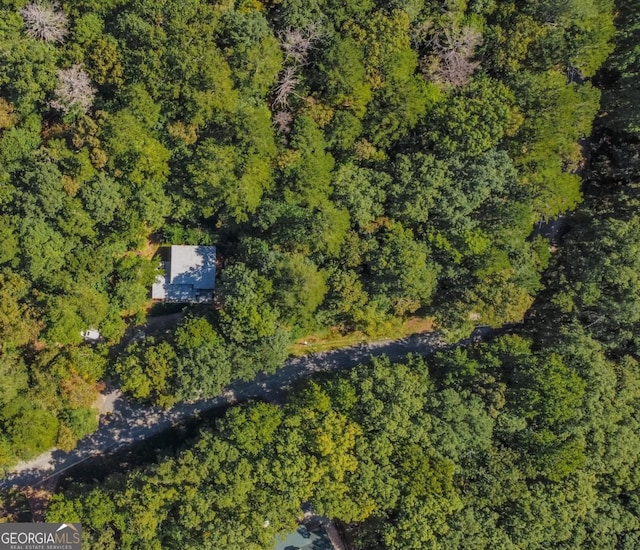 223 Mango Cir, Ellijay, GA 30540 - bird's eye view