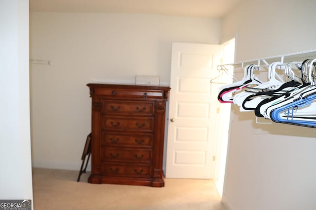 150 Canal St, Hampton, GA 30228 - spacious closet with light colored carpet