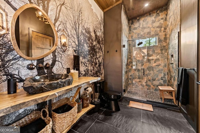 719 Ripshin Mountain Rd, Blue Ridge, GA 30513 - full bath with tiled shower, toilet, and a sink