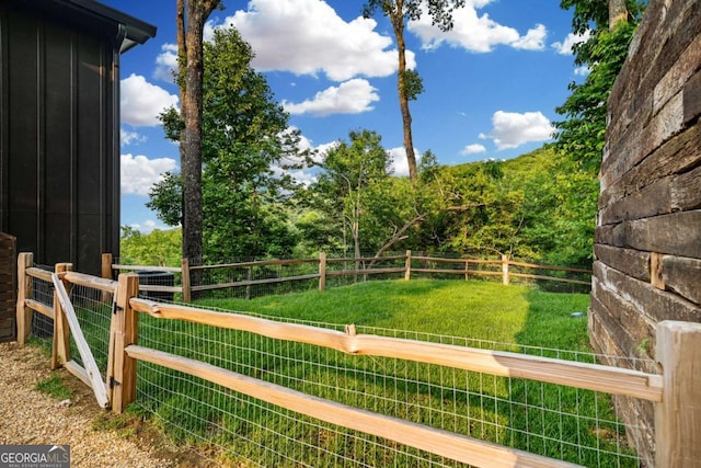 719 Ripshin Mountain Rd, Blue Ridge, GA 30513 - view of yard