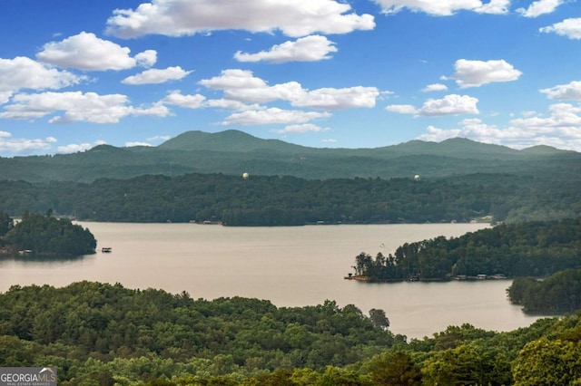 719 Ripshin Mountain Rd, Blue Ridge, GA 30513 - mountain view featuring a heavily wooded area and a large body of water
