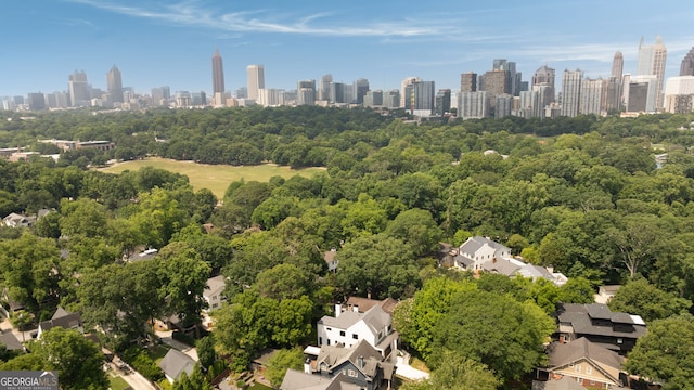 555 Orme Cir NE, Atlanta, GA 30306 - aerial view of skyline