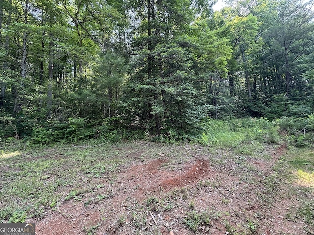 2726 Turkey Trot, Hiawassee, GA 30546 - view of wooded area
