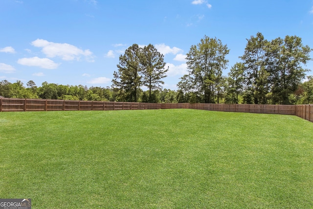 26 NE Sunflower Cir, Ludowici, GA 31316 - view of yard