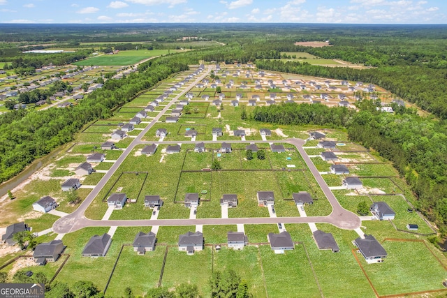 26 NE Sunflower Cir, Ludowici, GA 31316 - aerial view of residential area
