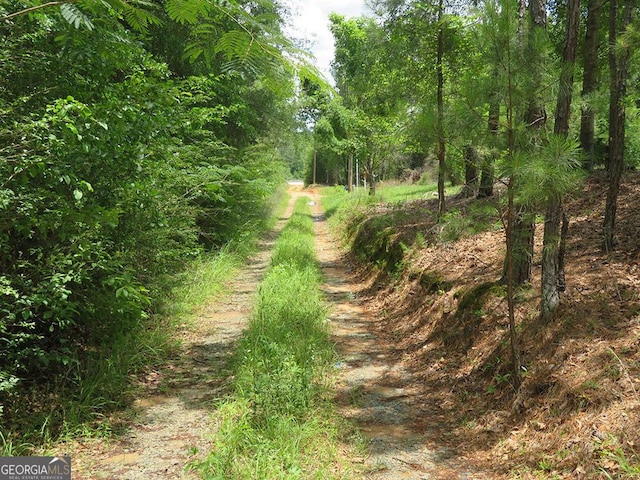 0 Louise Bell Rd, Lumpkin, GA 31815