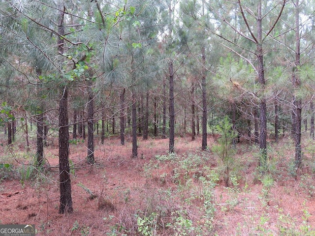 0 Louise Bell Rd, Lumpkin, GA 31815