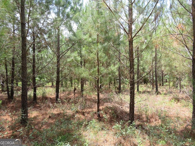 0 Louise Bell Rd, Lumpkin, GA 31815