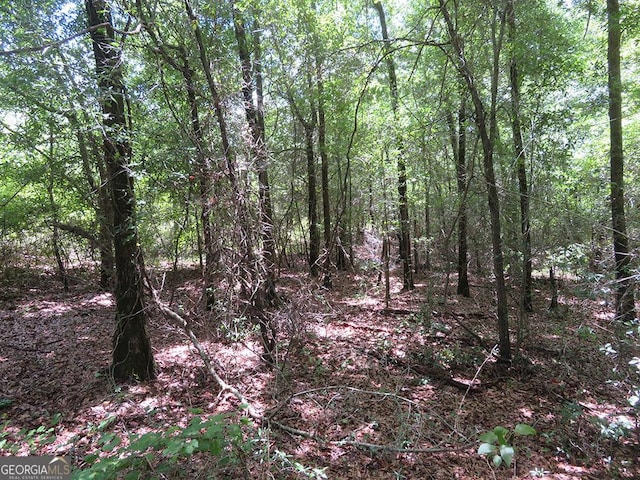 0 Louise Bell Rd, Lumpkin, GA 31815
