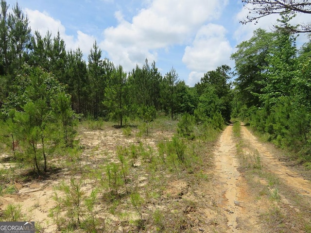 0 Louise Bell Rd, Lumpkin, GA 31815
