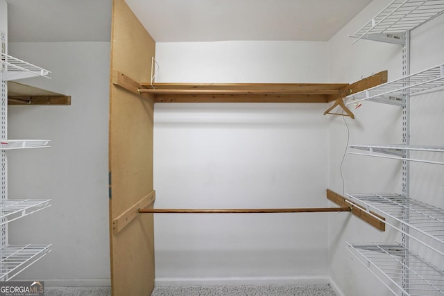 2394 Burch Cir NE, Brookhaven, GA 30319 - view of spacious closet