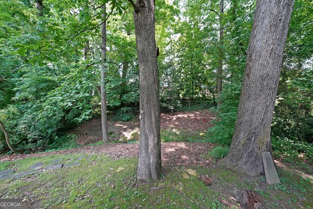2394 Burch Cir NE, Brookhaven, GA 30319 - view of wooded area
