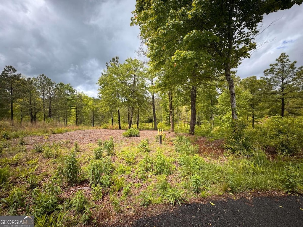 35 Arbor Crk, Mineral Bluff, GA 30559