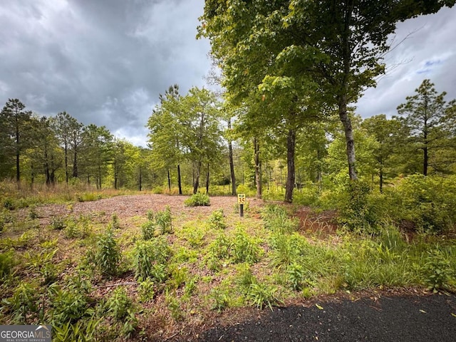 35 Arbor Crk, Mineral Bluff, GA 30559