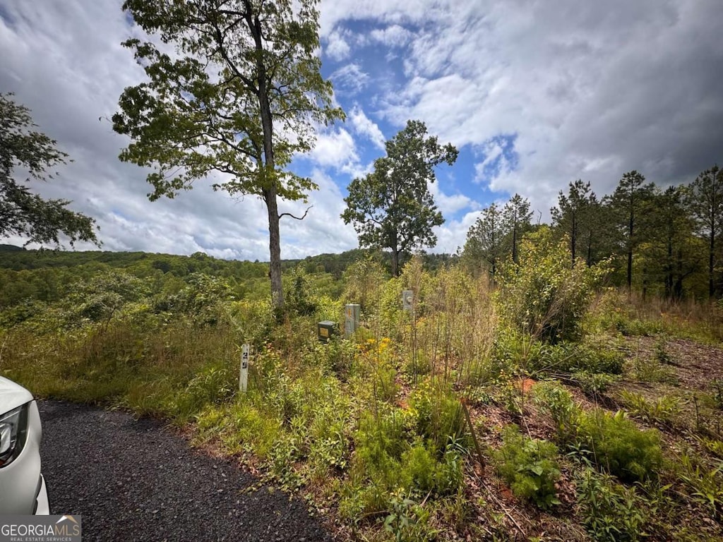 35 Arbor Crk, Mineral Bluff, GA 30559