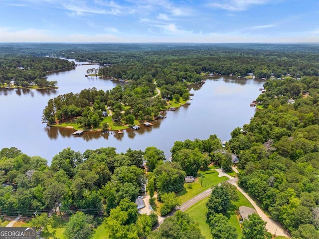 291 Thomas Dr, Eatonton, GA 31024 - aerial view of a forest and a nearby body of water