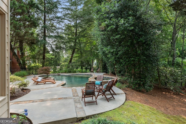 10135 High Falls Pointe, Johns Creek, GA 30022 - swimming pool featuring a patio