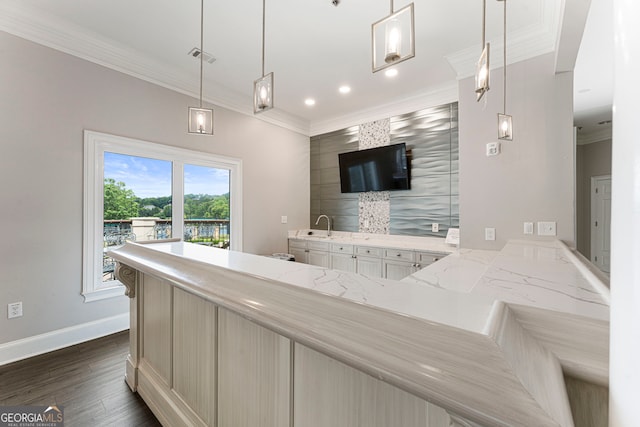 10135 High Falls Pointe, Johns Creek, GA 30022 - bar featuring crown molding, dark wood-style flooring, baseboards, a sink, and recessed lighting