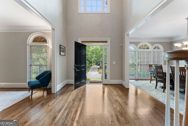 10135 High Falls Pointe, Johns Creek, GA 30022 - entryway with a chandelier, wood finished floors, plenty of natural light, a high ceiling, and ornamental molding