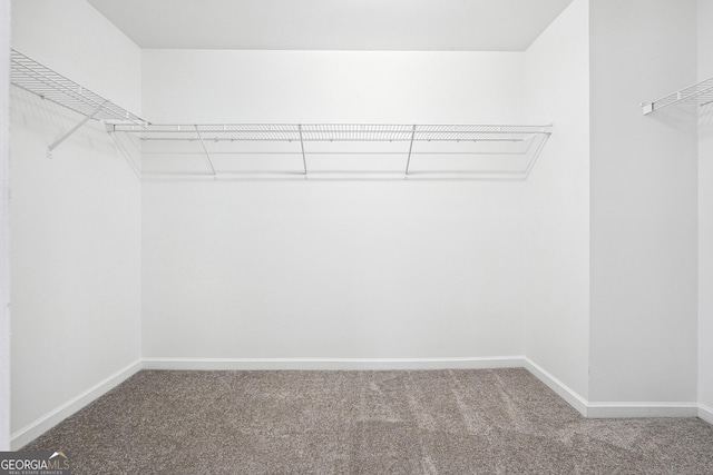1875 Cutleaf Creek Rd, Grayson, GA 30017 - spacious closet with carpet floors