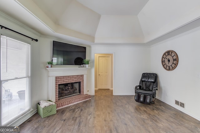 2005 Ashton Pointe Dr, Dacula, GA 30019 - living area featuring healthy amount of natural light, a raised ceiling, wood finished floors, and a fireplace