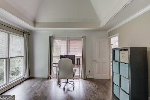 2005 Ashton Pointe Dr, Dacula, GA 30019 - office space with vaulted ceiling, dark wood-style floors, baseboards, a tray ceiling, and ornamental molding