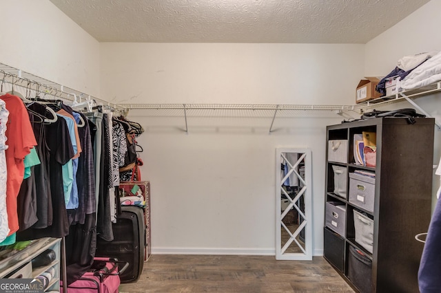 2005 Ashton Pointe Dr, Dacula, GA 30019 - walk in closet with dark wood-style flooring