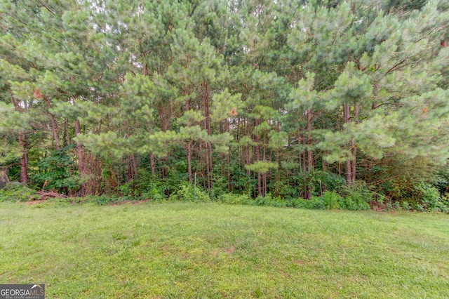 2005 Ashton Pointe Dr, Dacula, GA 30019 - view of green lawn with a wooded view