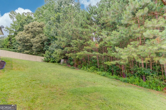 2005 Ashton Pointe Dr, Dacula, GA 30019 - view of yard