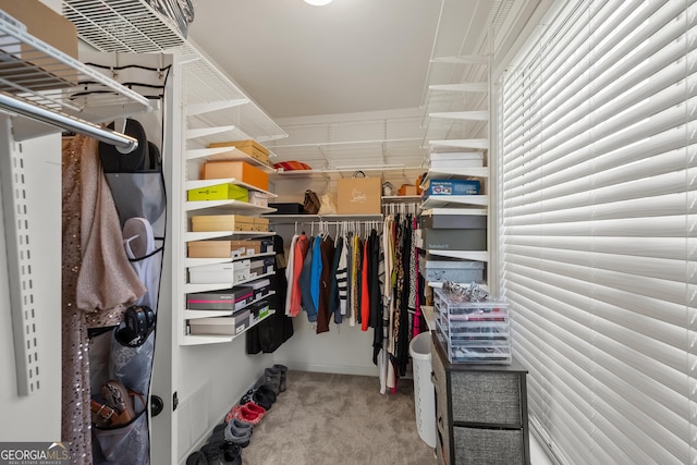2995 Barimore Pl, Dacula, GA 30019 - walk in closet featuring carpet flooring
