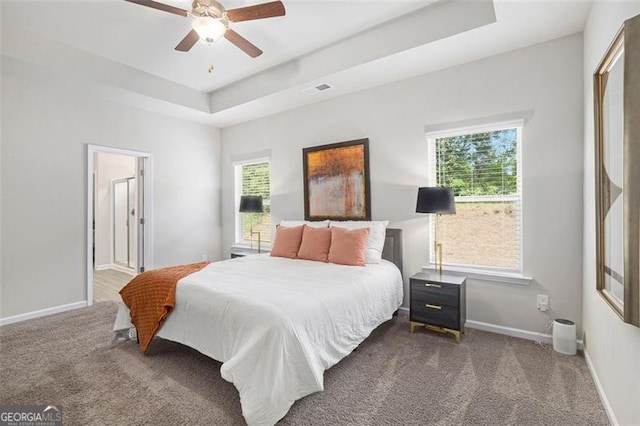 152 Malbone St SW, Cartersville, GA 30120 - carpeted bedroom with a tray ceiling, multiple windows, baseboards, and ceiling fan
