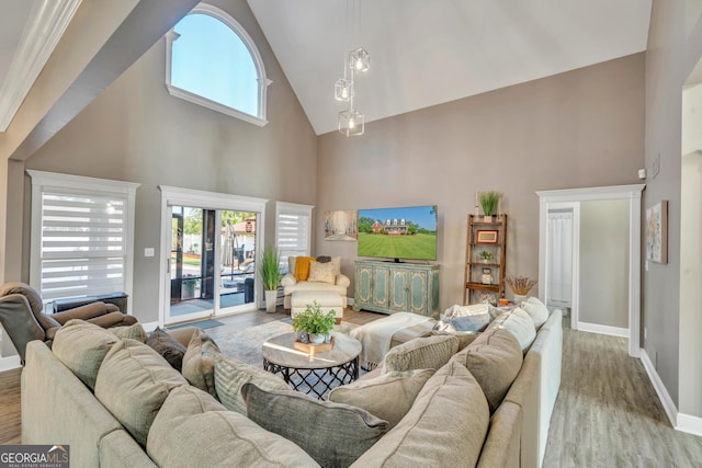 2717 Old Eastman Rd, Cadwell, GA 31009 - living area featuring high vaulted ceiling, wood finished floors, baseboards, and healthy amount of natural light