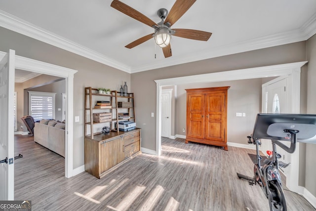 2717 Old Eastman Rd, Cadwell, GA 31009 - office with a ceiling fan, crown molding, light wood-type flooring, and baseboards